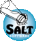 SALT Software Logo